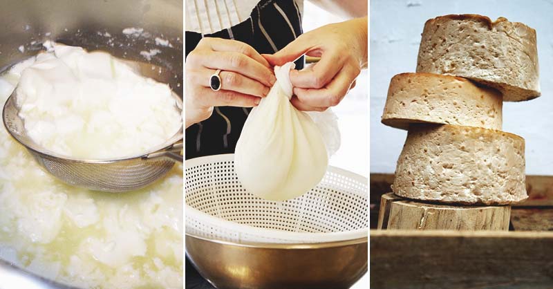 Homemade Cheese Recipes